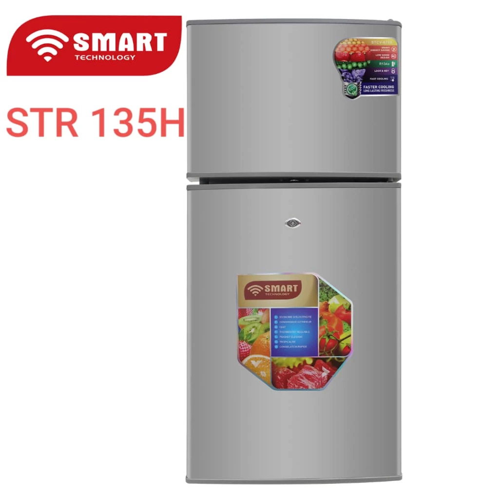 Refrigerateur Smart Technology Bar 2 Portes Gris STR135