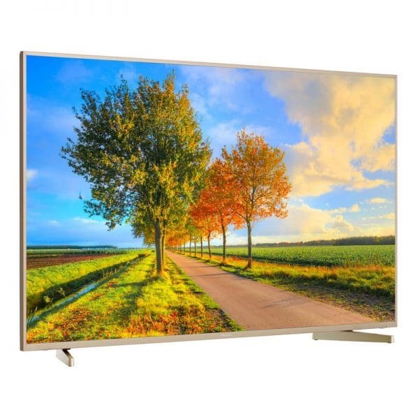 Télévision Hisense LED 58 » Pouces Smart TV 4K Ultra HD